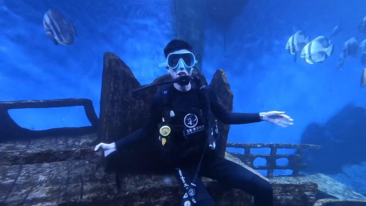 探索小鸡叫叫阅读的知识星球,开启你的学习旅程